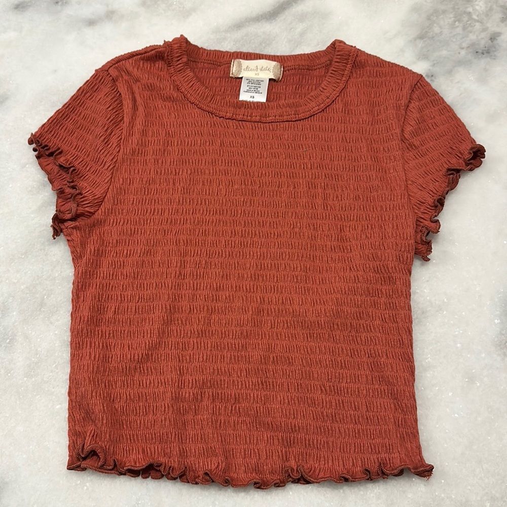 Altar’d State Juniors Size XS Cropped Crew Neck T-Shirt in Rust Color